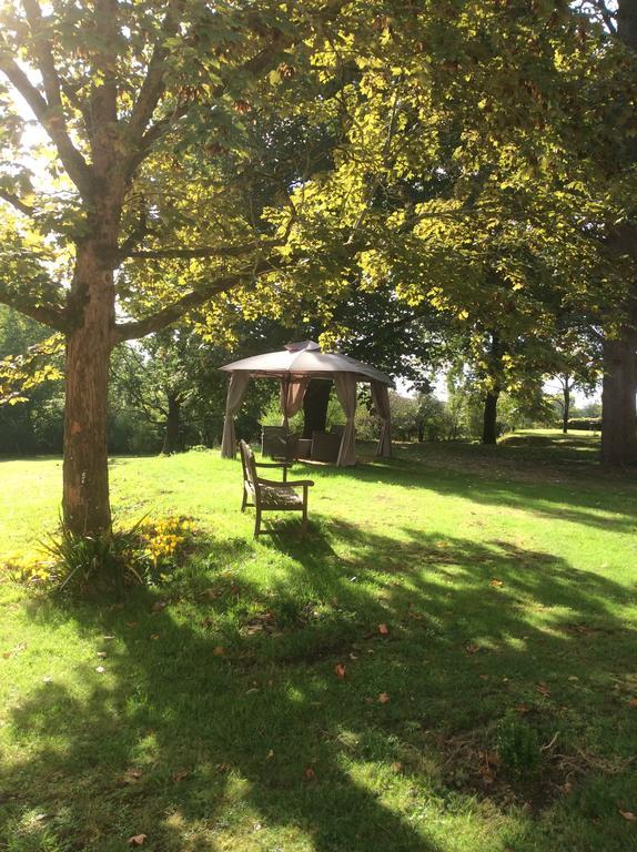 Saint-Séverin Le Chalet De Luxe B&B 외부 사진